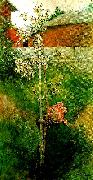 Carl Larsson kring appeltradet-appelblom oil painting on canvas